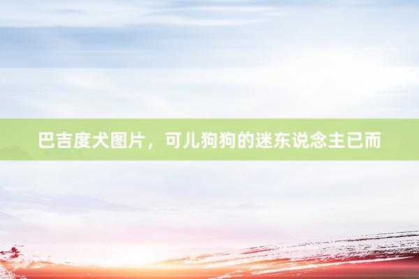 巴吉度犬图片，可儿狗狗的迷东说念主已而