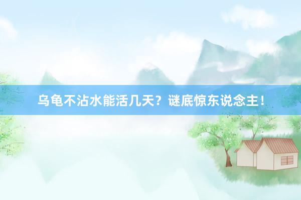 乌龟不沾水能活几天？谜底惊东说念主！